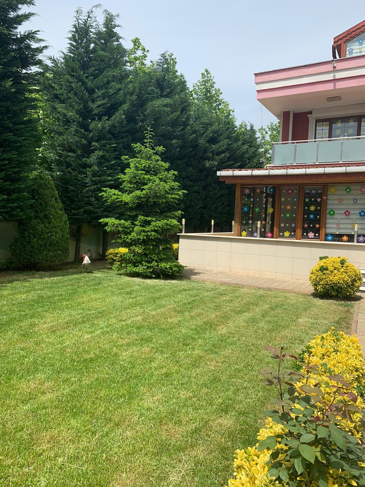 Özel Pusula Anaokulu - Sancaktepe