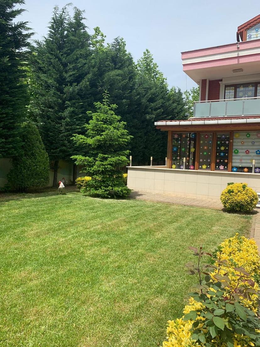Özel Pusula Anaokulu - Sancaktepe